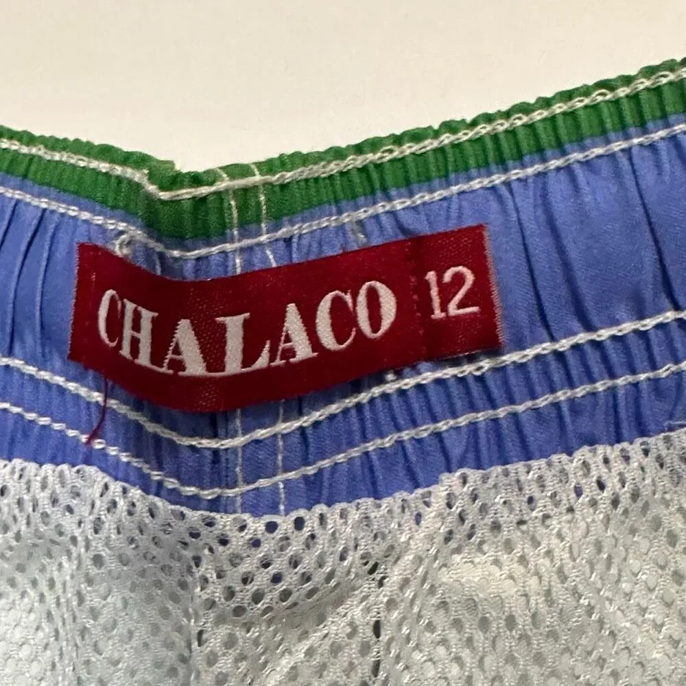 Chalaco Striped Swim Trunks Blue, Green, White | Men Size 12/Medium
